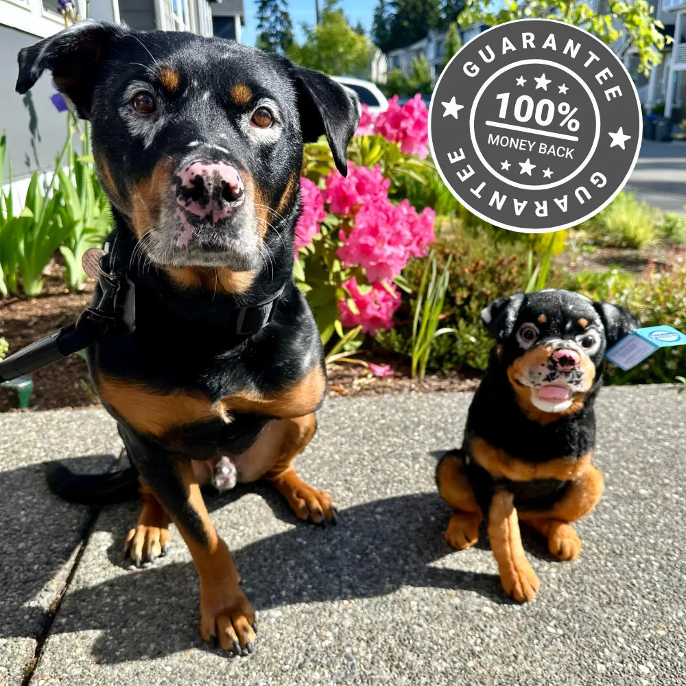 Xunlupets Custom Stuffed Animals of Your Pet