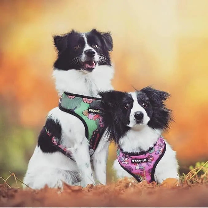 Custom Dog Stuffed Animals by