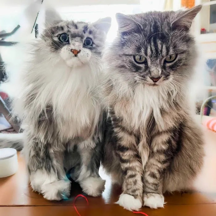 Custom Cat Stuffed Animal