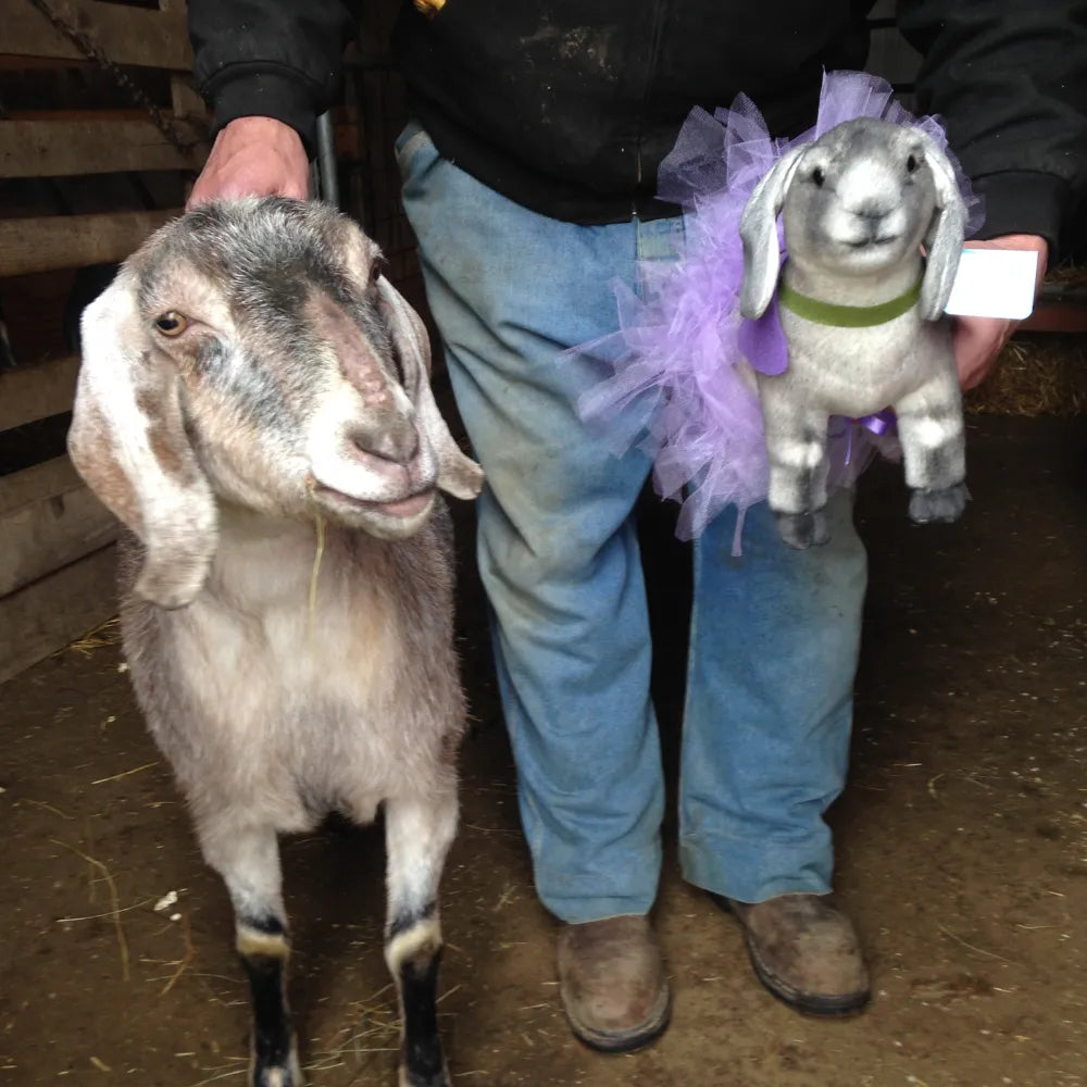 Turn Your Unique Pet Into Plush