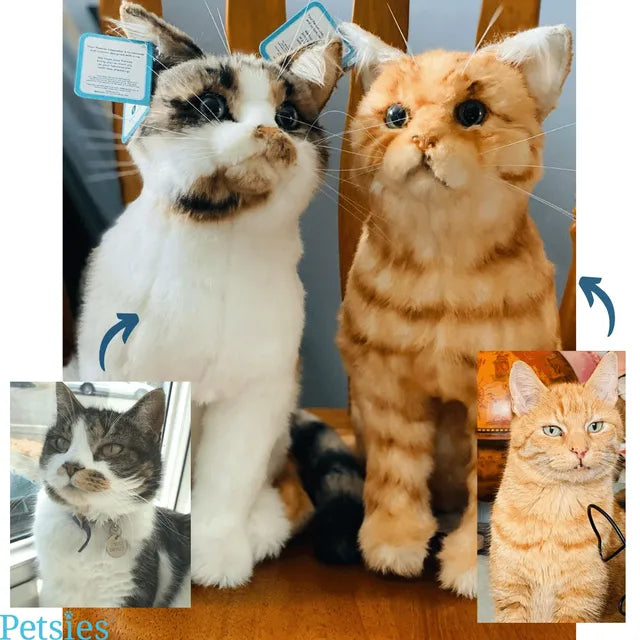Custom Cat Stuffed Animal
