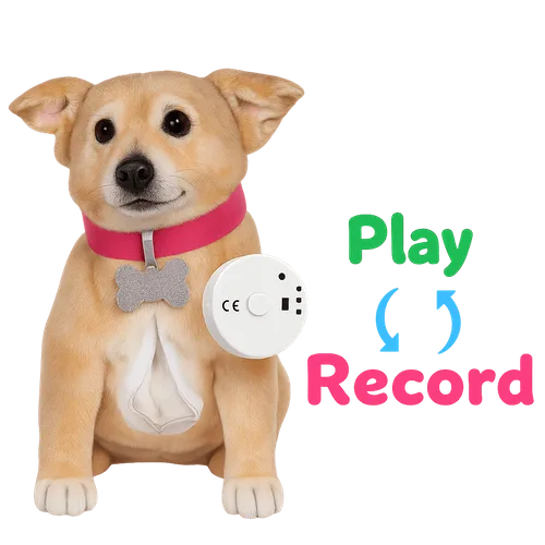Voice Recorder