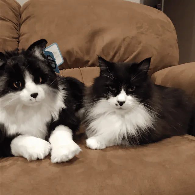 Custom Cat Stuffed Animal