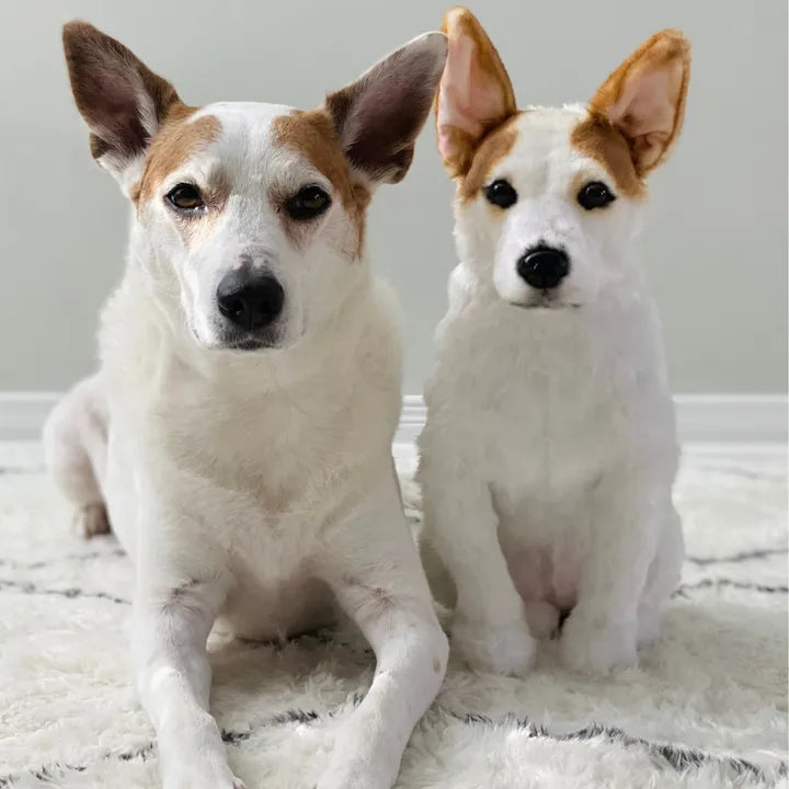 Custom Dog Stuffed Animals by