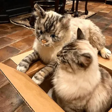 Custom Cat Stuffed Animal