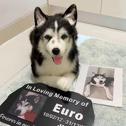 MEMORIAL PLUSHIES