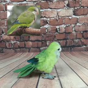 Custom Bird Stuffed Animals