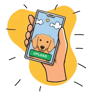 1. Upload a pet photo